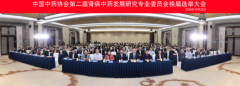中国中药协会第二届肾病中药发展研究专业委员会换届选举大会召开